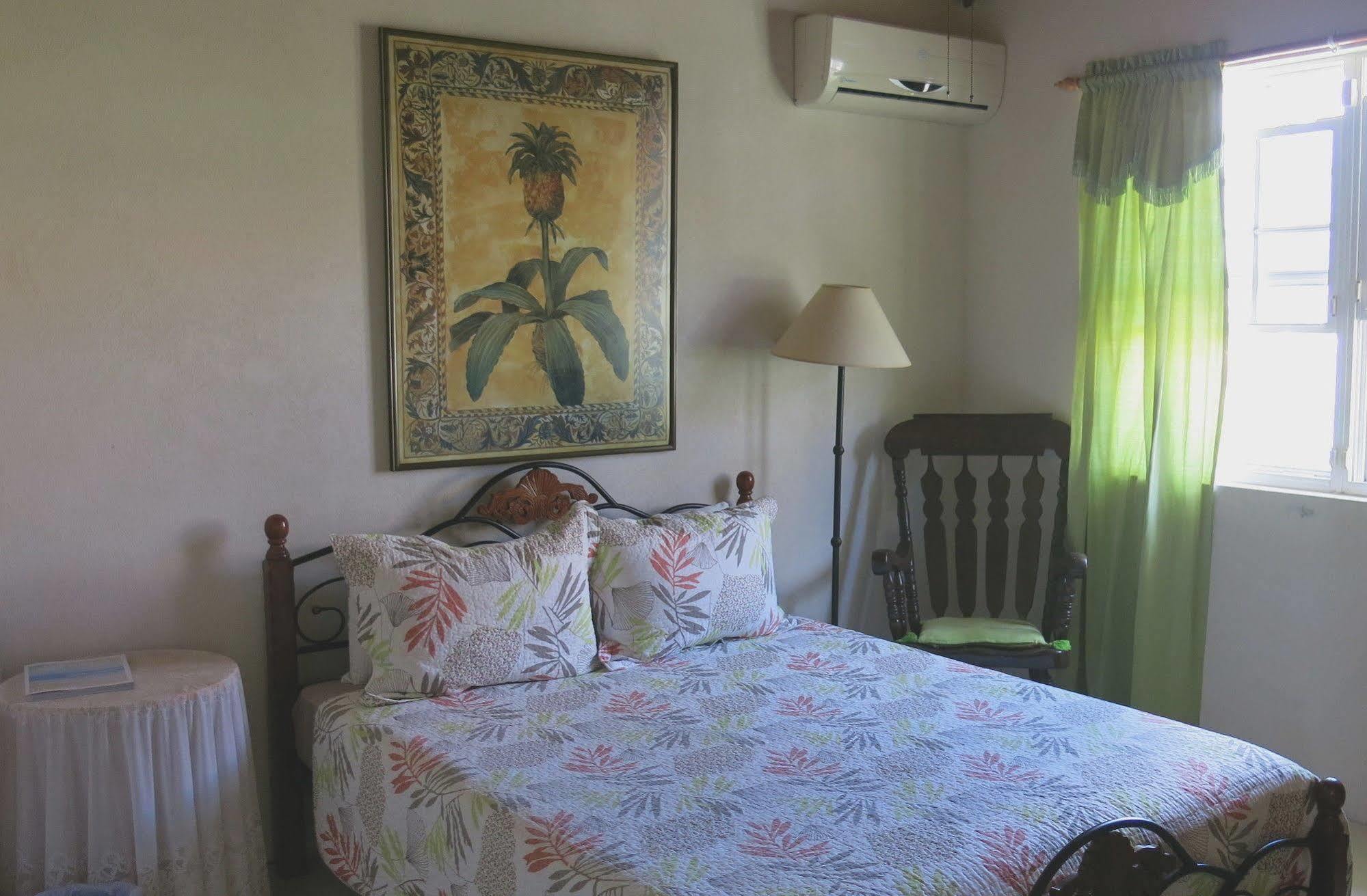 Gemini House Bed & Breakfast Christ Church Exteriör bild