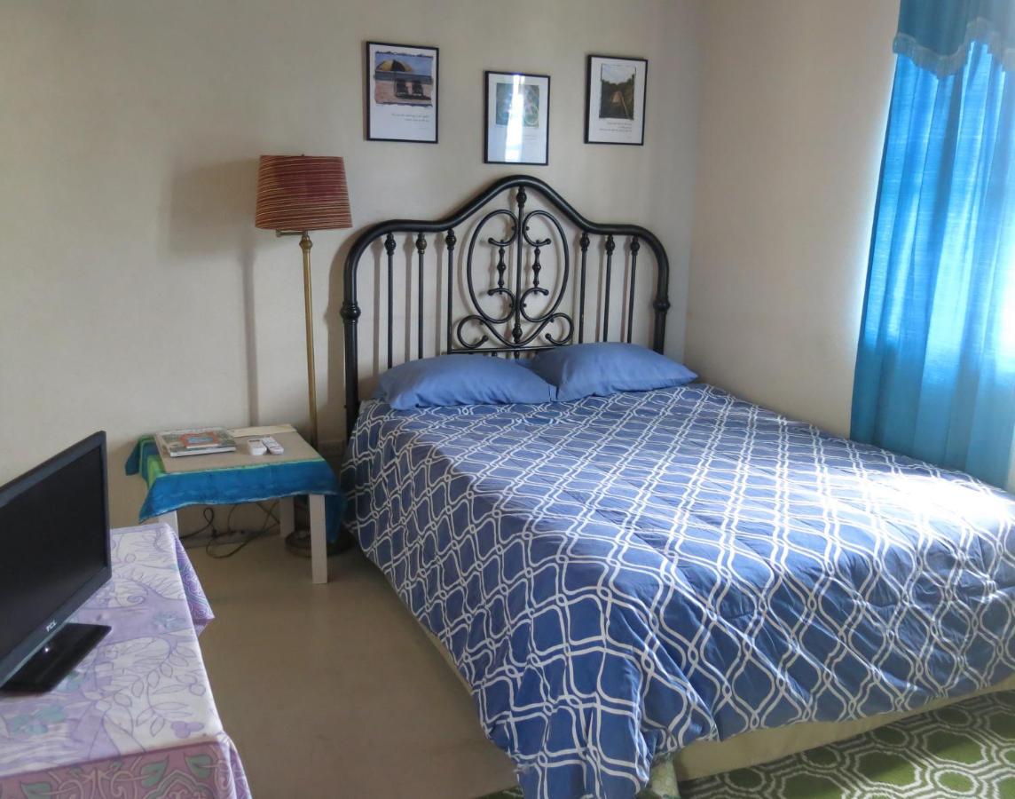 Gemini House Bed & Breakfast Christ Church Exteriör bild